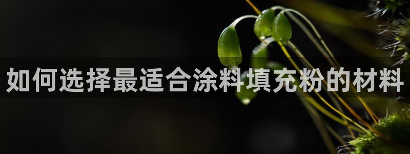 爱游戏百家平台app