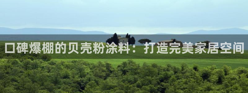 爱游戏全站app在线平台：口碑爆棚的贝壳