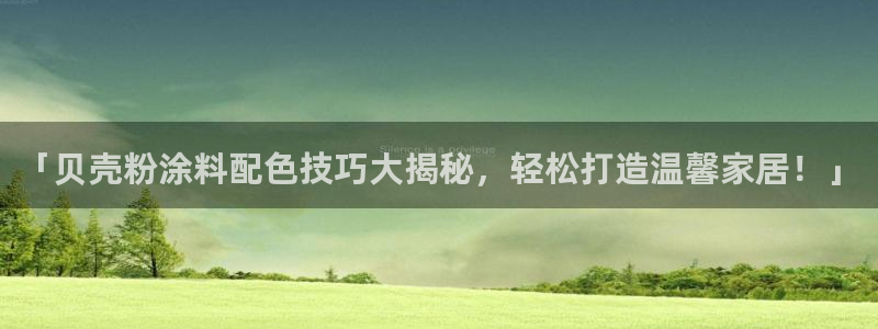 爱游戏爱体育官网