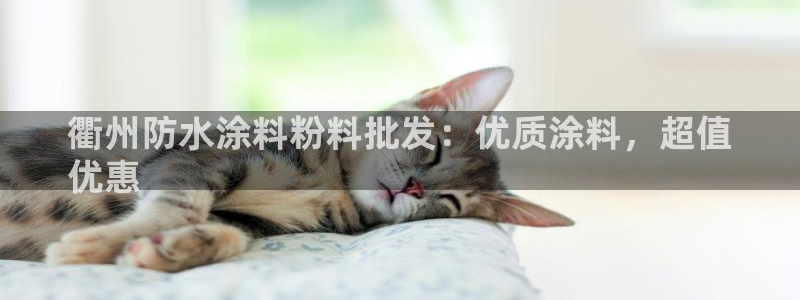 爱游戏平台最新版