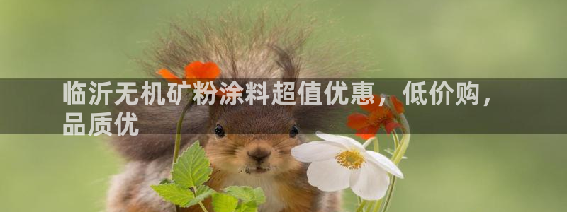 爱游戏官方app平台入口：临沂无机矿粉涂