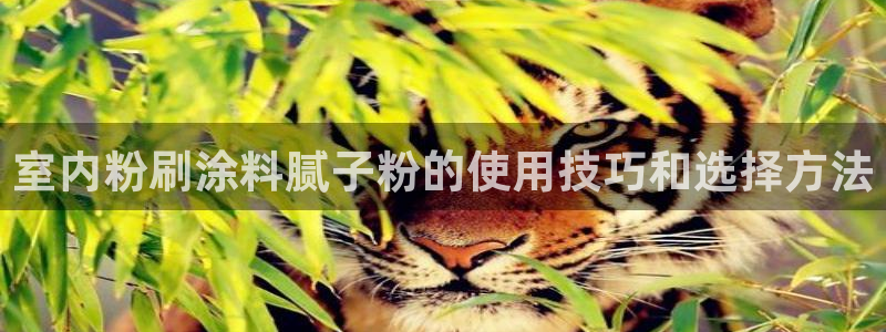 爱游戏平台app下载：室内粉刷涂料腻子粉