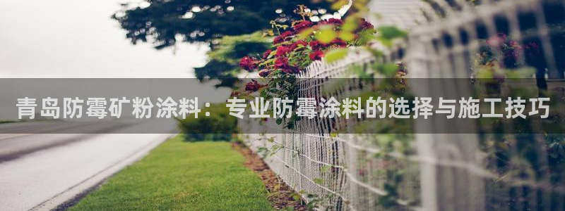 爱游戏直播平台：青岛防霉矿粉涂料：专业防