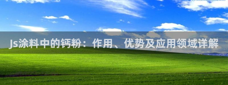 爱游戏全站APP登录官网：Js涂料中的钙