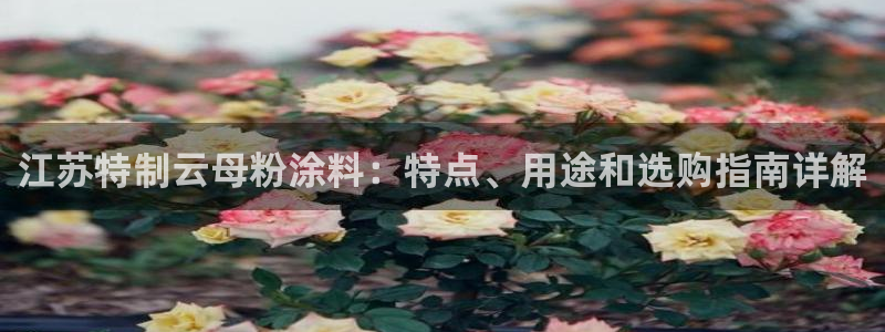 91爱游戏官网：江苏特制云母粉涂料：特点